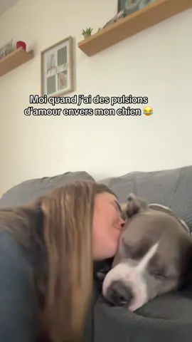 le pauvre, il demande rien lui😂 #chien#dog#pourtoii#funnytiktok#drole 