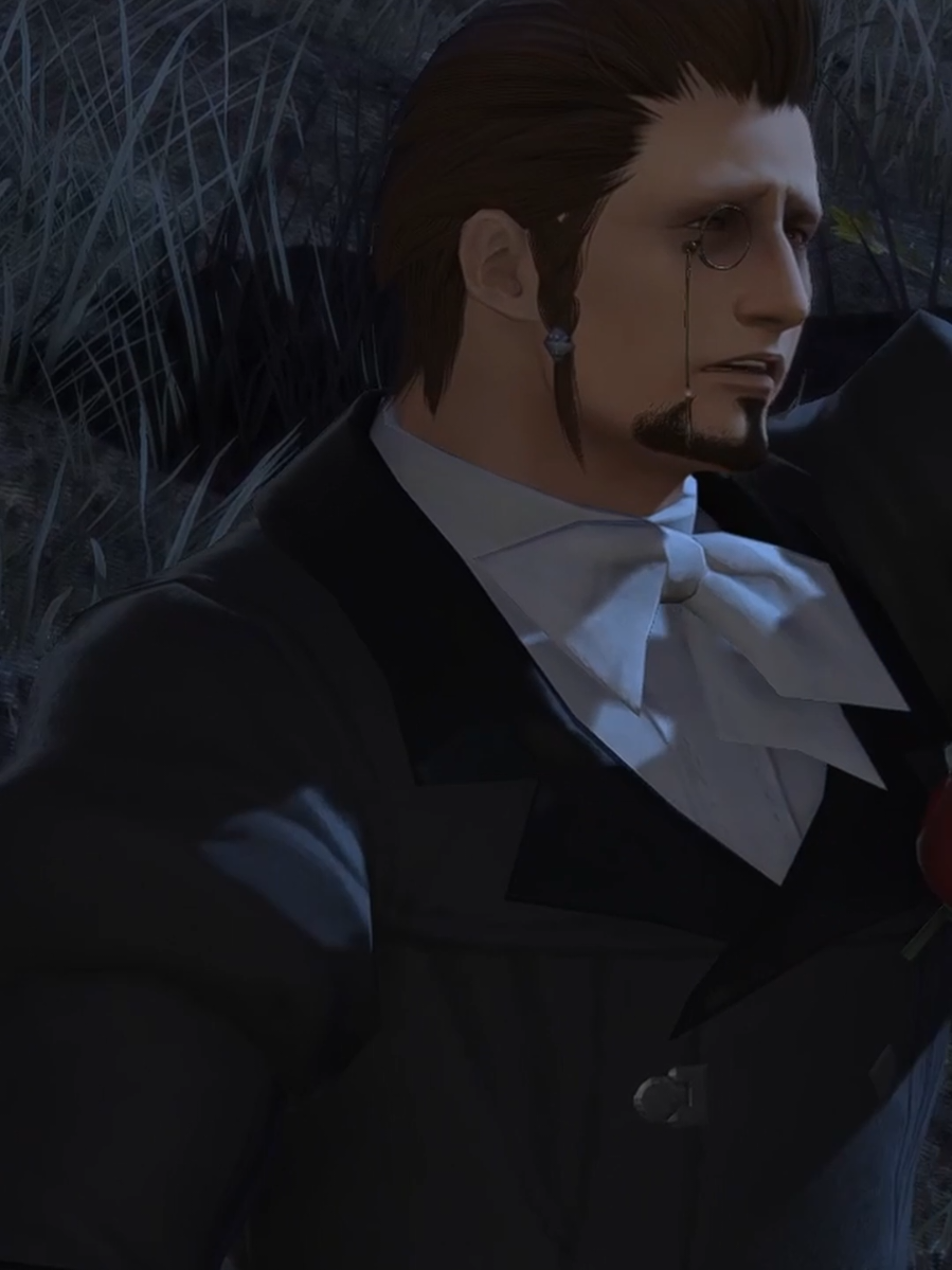 #ff14 #ffxiv #ffxivmeme #ffxivcommunity #hildibrand 