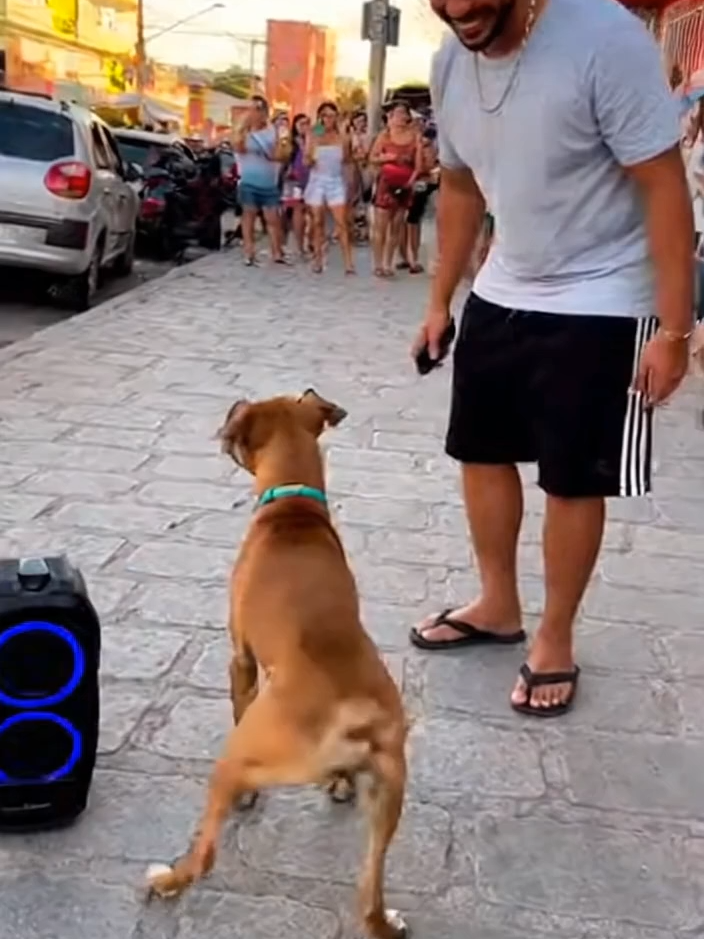 O Caramelo começou a dançar no meio da rua 😭🔥🐾 #sora2 #AIVideo” #TikTokBrasil #DarkStudioAI  Ele ouviu a música e não resistiu 😂 O Caramelo entrou no ritmo e roubou o show! 🎬 Criado com IA — @DarkStudios.AI #Caramelo #Cachorro #DogDance #DarkStudiosAI #Sora2 #AIVideo #FunnyDog #ViralVideo #Brasil #CapCutEdit #DogDancing #MúsicaNaRua