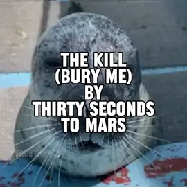 the kill (bury me) by thirty seconds to mars seal music video  #seal #sealtok #thirtysecondstomars #lyrics #dadrock 