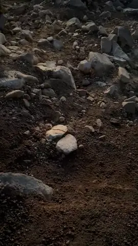 Hermosa creación 😍 Mar de nubes visto desde el Volcán de Fuego, Acatenango Guatemala..!  #amanecer #volcanacatenango #Hiking #mardenubes #viajerosporelmundo