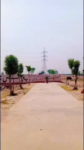 #cricketlover #chootadon90 