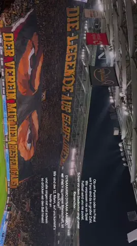 SGD DYNAMO DRESDEN!🖤💛 #ostdeutschland #dresden #dynamodresden #fyp 