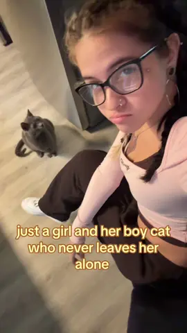 his name is lucifer 🩷 #fyp #cat #viral #catsoftiktok #boycat 