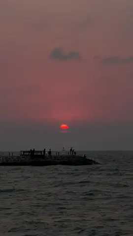 يا شمسي الأخيرة 🌅… #بدر_عبدالمحسن #غروب #sunset #fyp #foryou 