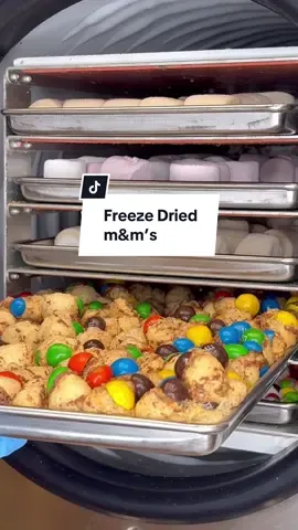 Finally cracking the code on freeze drying m&m’s #freezedriedcandy #freezedriedmms #caramelcoldbrewmms #mms 
