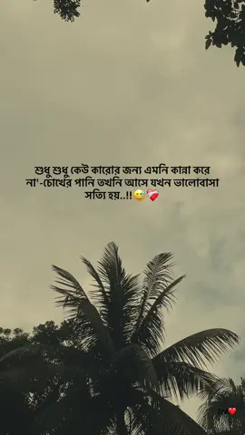 শুধু শুধু কেউ কারোর জন্য এমনি কান্না করে  না'-চোখের পানি তখনি আসে যখন ভালোবাসা  সত্যি হয়..!!😅❤️‍🩹 .. .. .. #sad #tiktok #trending #foryou #stitch 