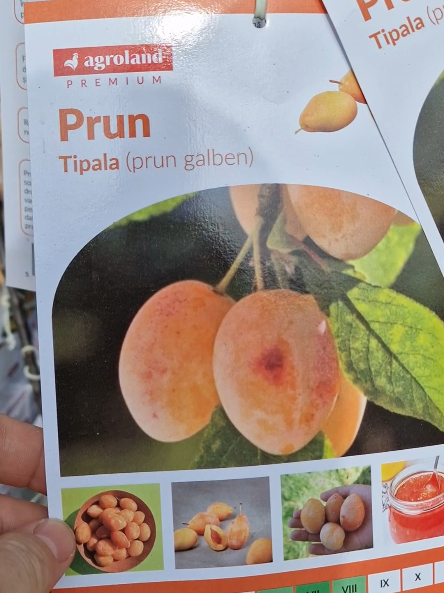 #fruit #garden #fresh #gardening #delicious 