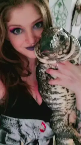 #addicted #tegu #reptile  #welcometomydreamrealm 
