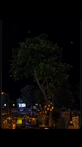 معاك ياحبيبي نسيتني  🤍🕊 #اليسا #📷📷 #تصويري #CapCut #@elissaofficial 