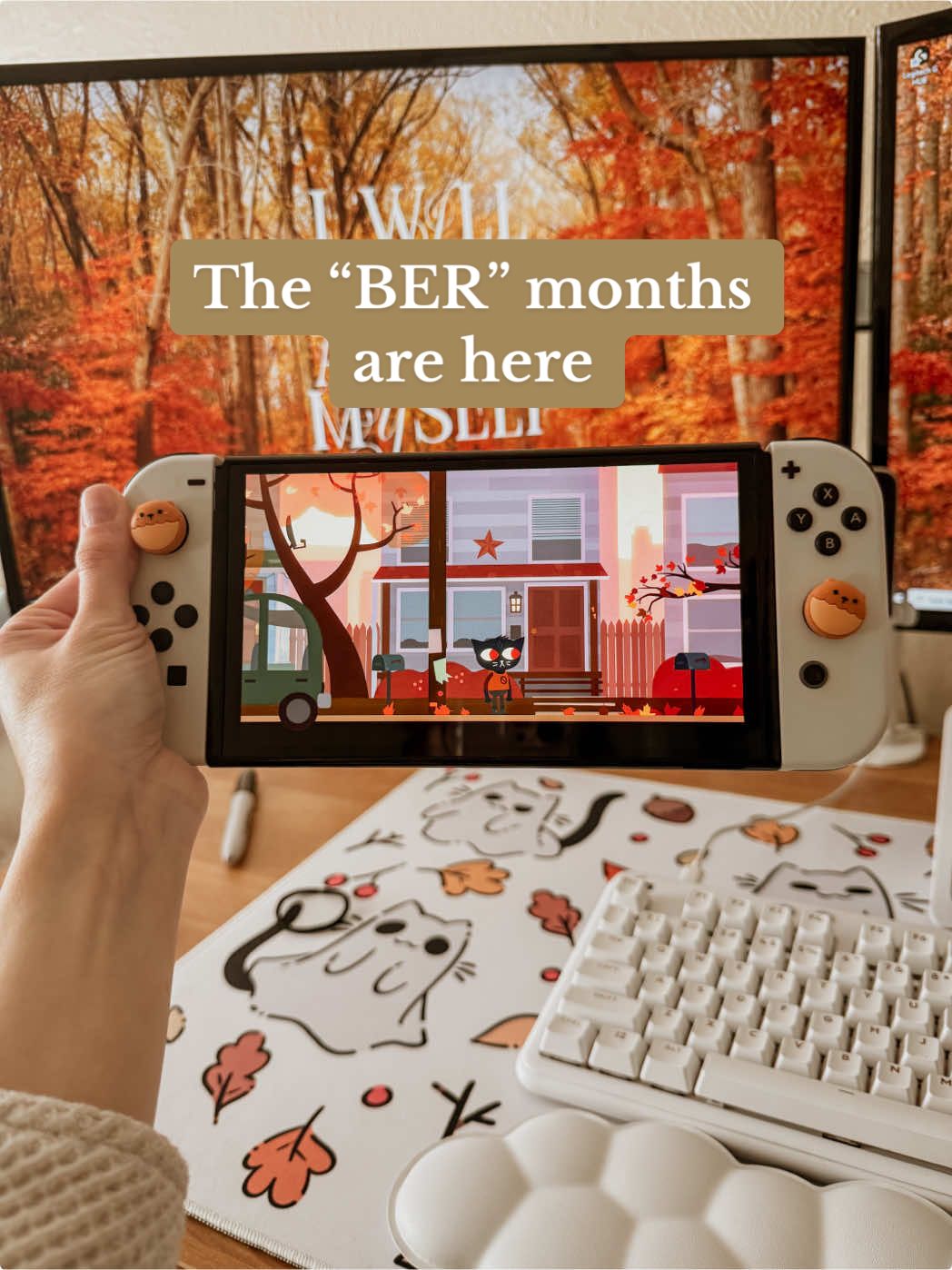 What games are you going to be playing for the “BER” Months? 🏷️ #cozygaming #homebodylife #stardewvalley #wholesomegames 