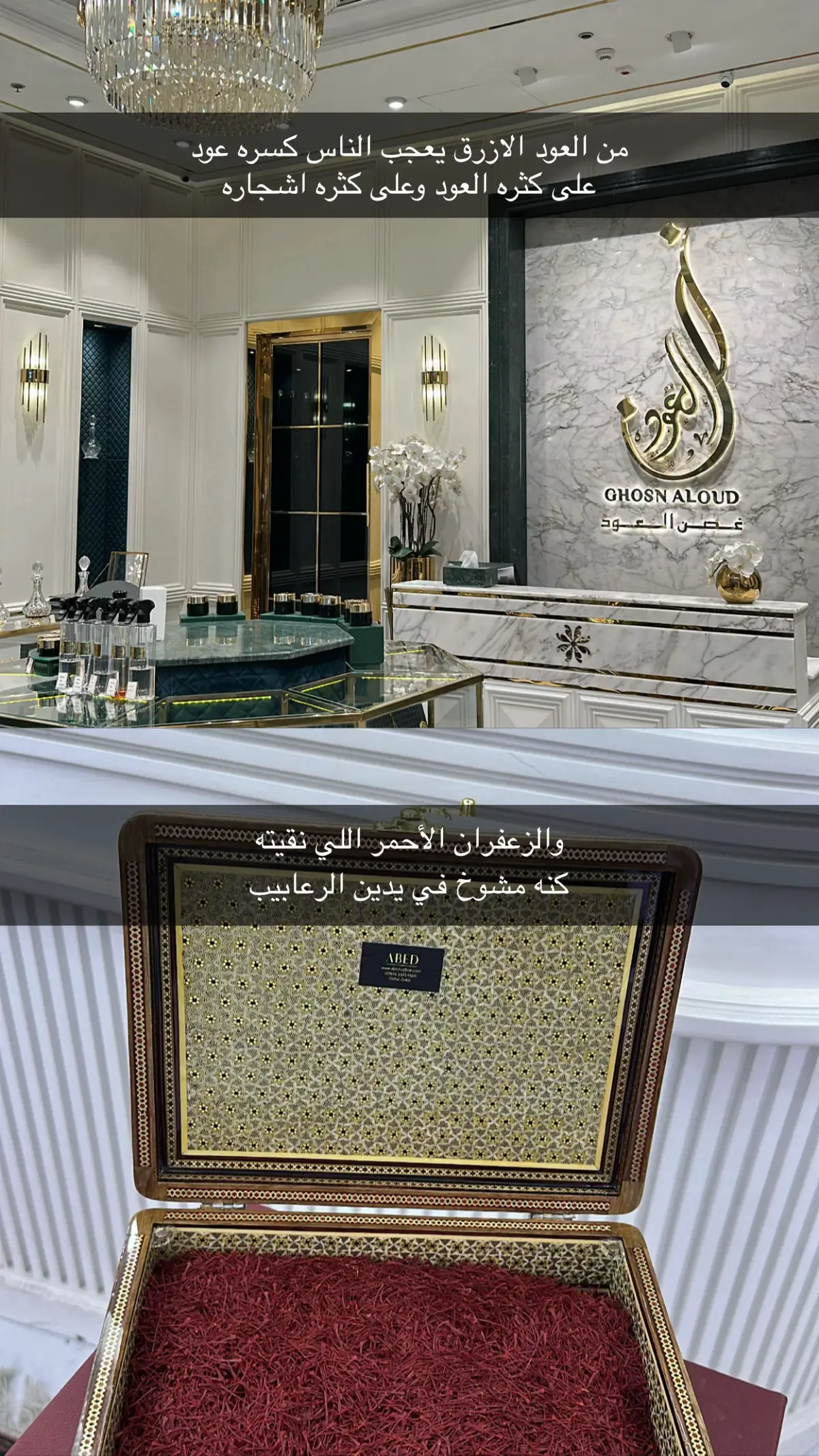 #قطر #السعودية 