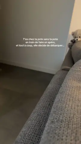 La domotique nous permet de faire des apéros à distance maintenant 🤌🏼💁🏼‍♀️ #humour #funny #aspirateurrobot #dreame #fyp 