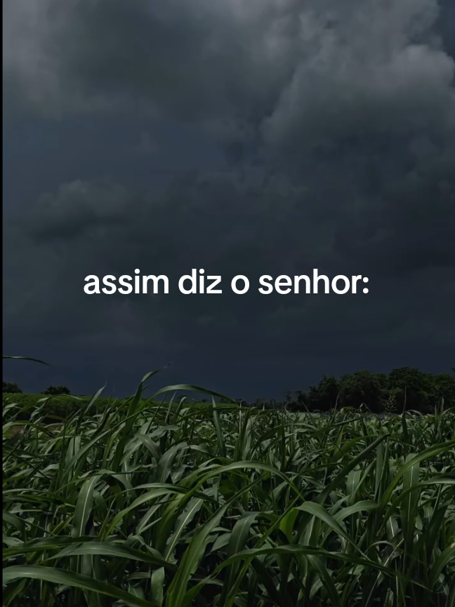 palavra do senhor..🙌🏾🙏🏾 #motivacaododia #foycristao #fe#deus#videosvirais 