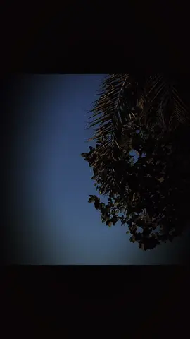 علم الحر #علم_الحر #المنيا_اسيوط_سوهاج_قناا_الاقصر_اسوان_ #سوهاج_قنا_اسيوط_اسوان_المنيا_الاقصر #تحياتي_لجميع_المشاهدين_والمتابعين❤ام @علم الحر ابن الأصول 