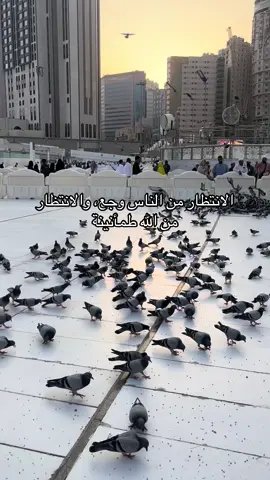 #fyp #follow #fypシ #fouryou 