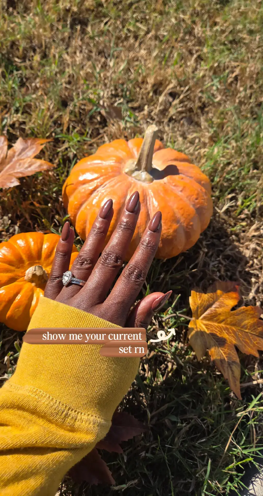 I'm loving this color for fall rn 🤎 Coffee Bean DC 319