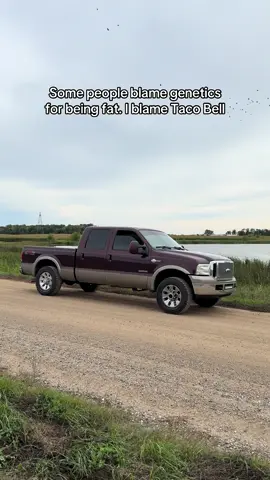 Love me some Tbell #tacobell #f350  #powerstroke #food #fyp 