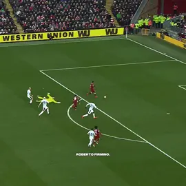 Roberto Firmino. #football #Soccer #futbol #firmino #liverpool 
