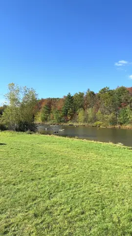 #########fypシ゚viral #estheticianlife🌸 #2025🇺🇸 #