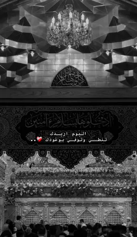 أگضيها يا بوفاضل😔#ابا_الفضل_العباس #dancewithpforyou #سيد_سلام_الحسيني #4u #explore 
