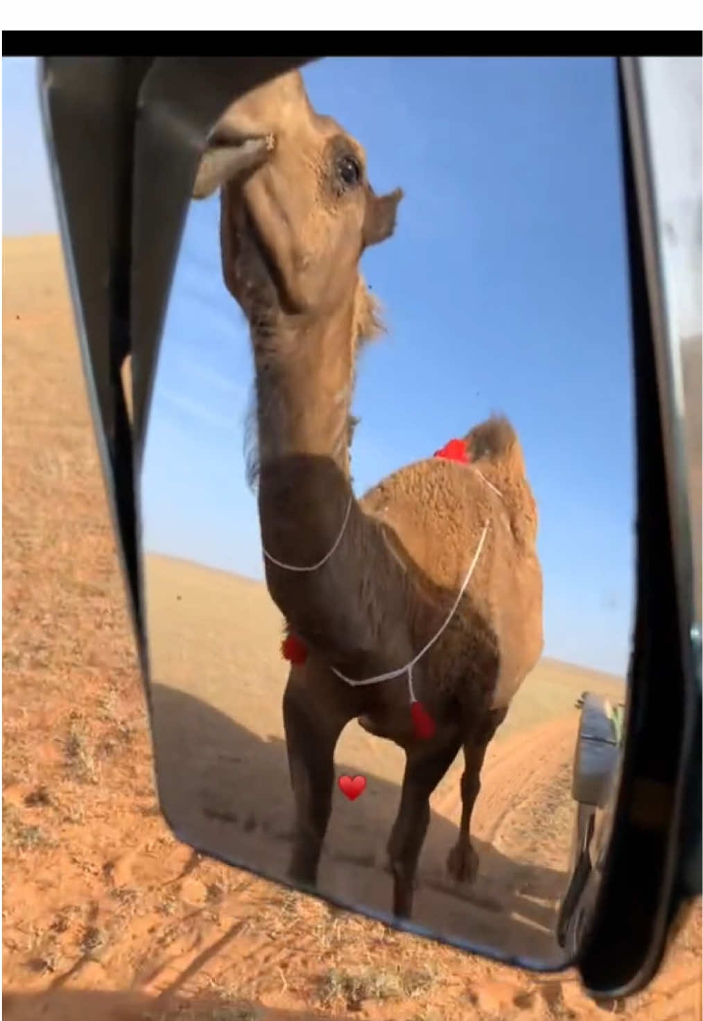 #عطايا_الله #الصفر #الشعل #explore 