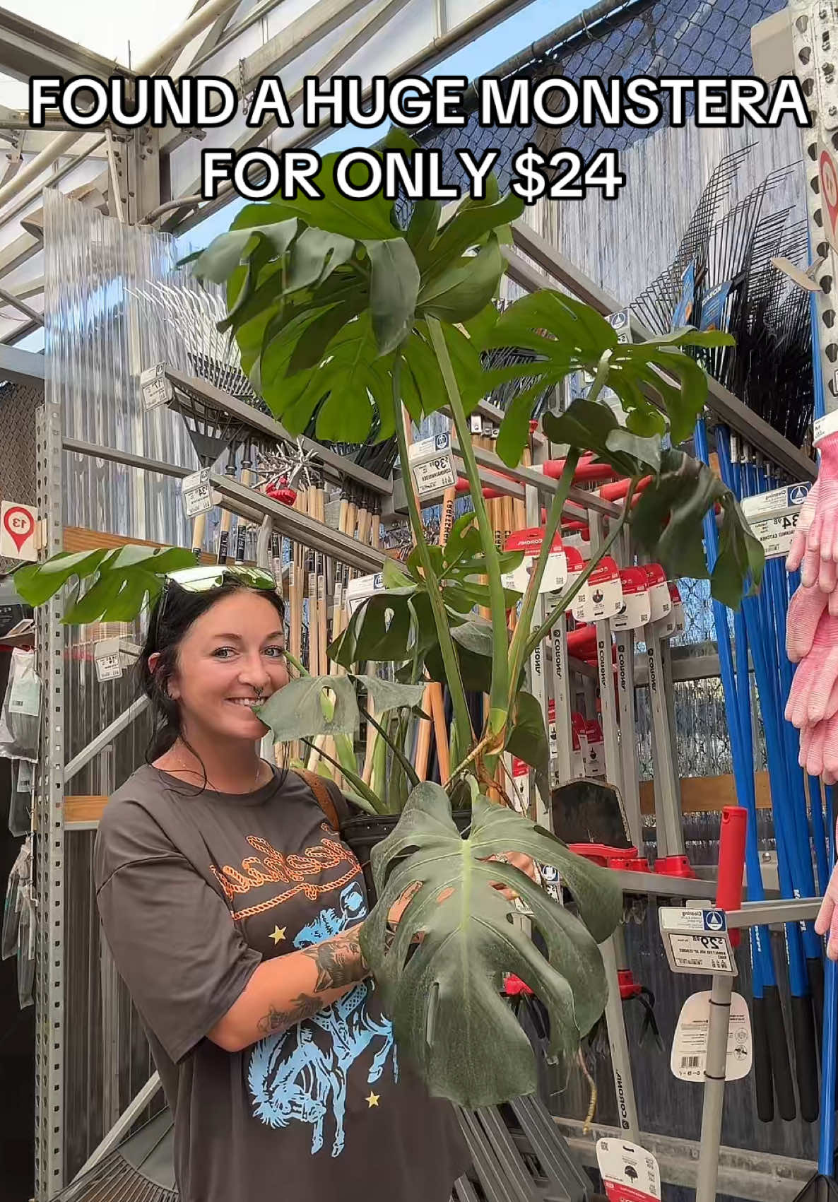 YO!!! She’s our new daughter 🤣 #plantsoftiktok #plantmom #monstera #plantshopping #foryoupage @Cadie Hufnagle 💙