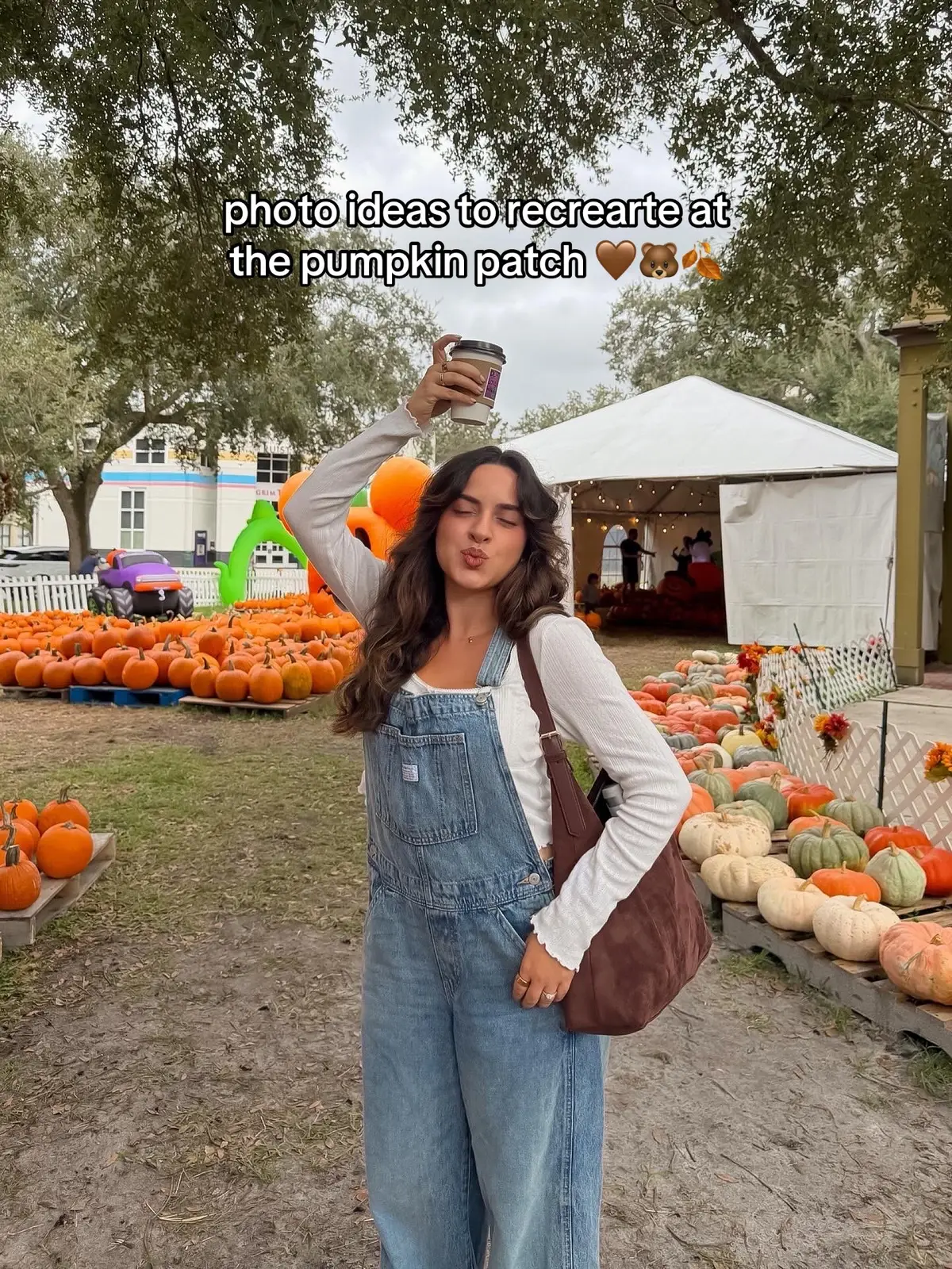 pumpkin patch and fall in florida 