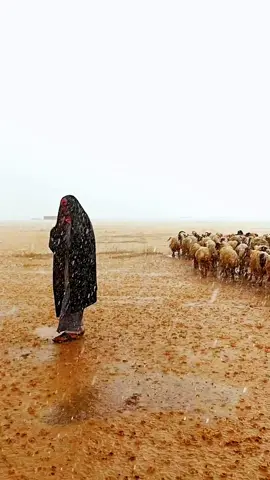 #امطار_الخير #fypシ゚viral🖤tiktok 