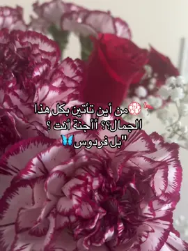 🦩💮من أين تأتين بكل هذا الجمال؟؟ أأجنة أنت ؟ 