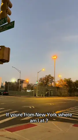 #fypシ゚ #trendyy #bronx #nyctiktok #newyorker 