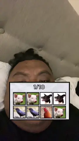 Filter bongko