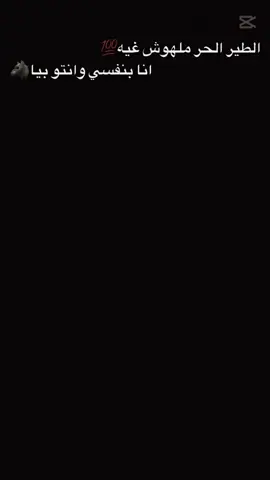 #النجار_يحب_الجميع♥️🐺 