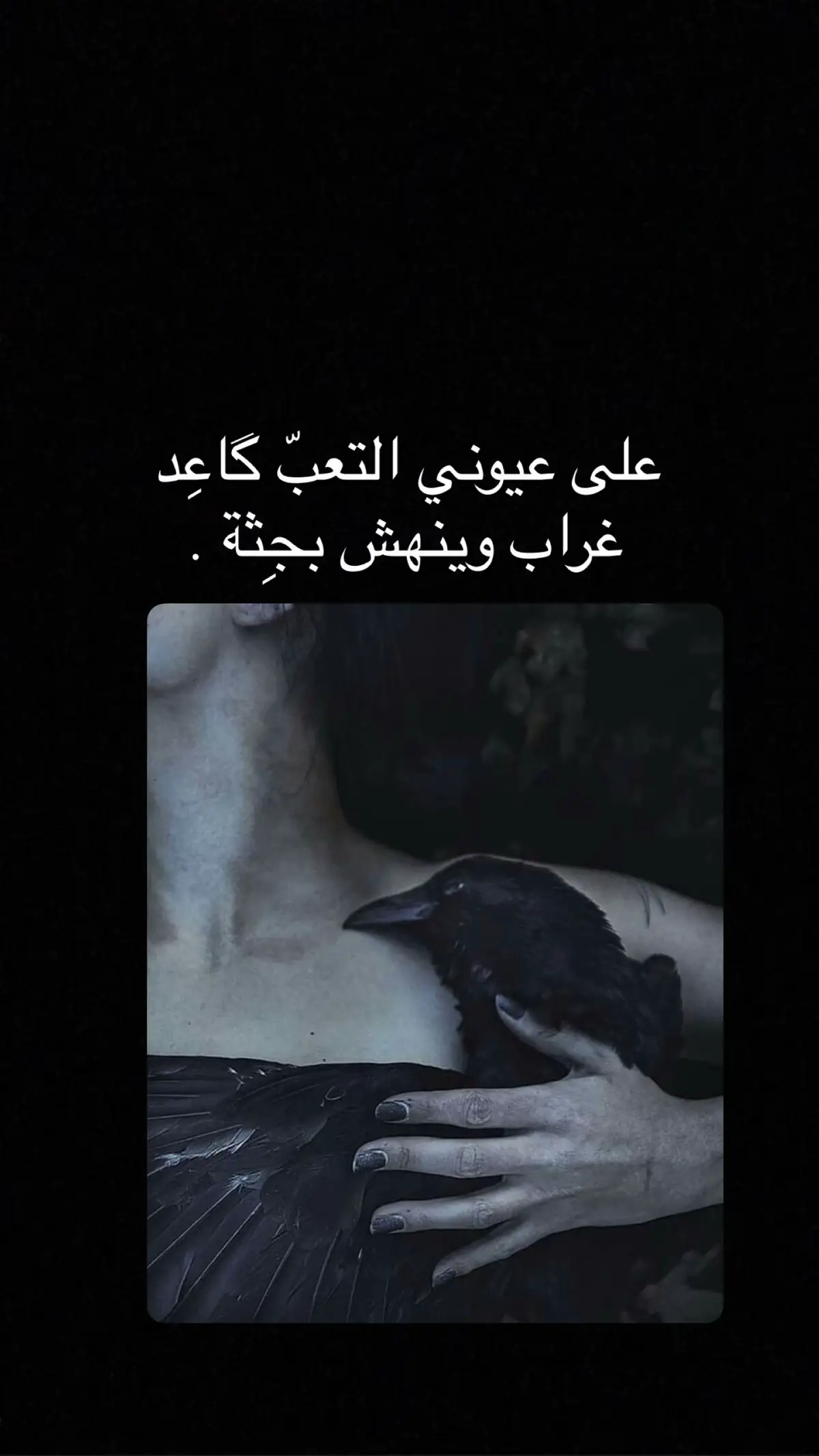 #عيوني_#لايكات #اكسبلورexplore #مالي_خلق_احط_هاشتاقات 