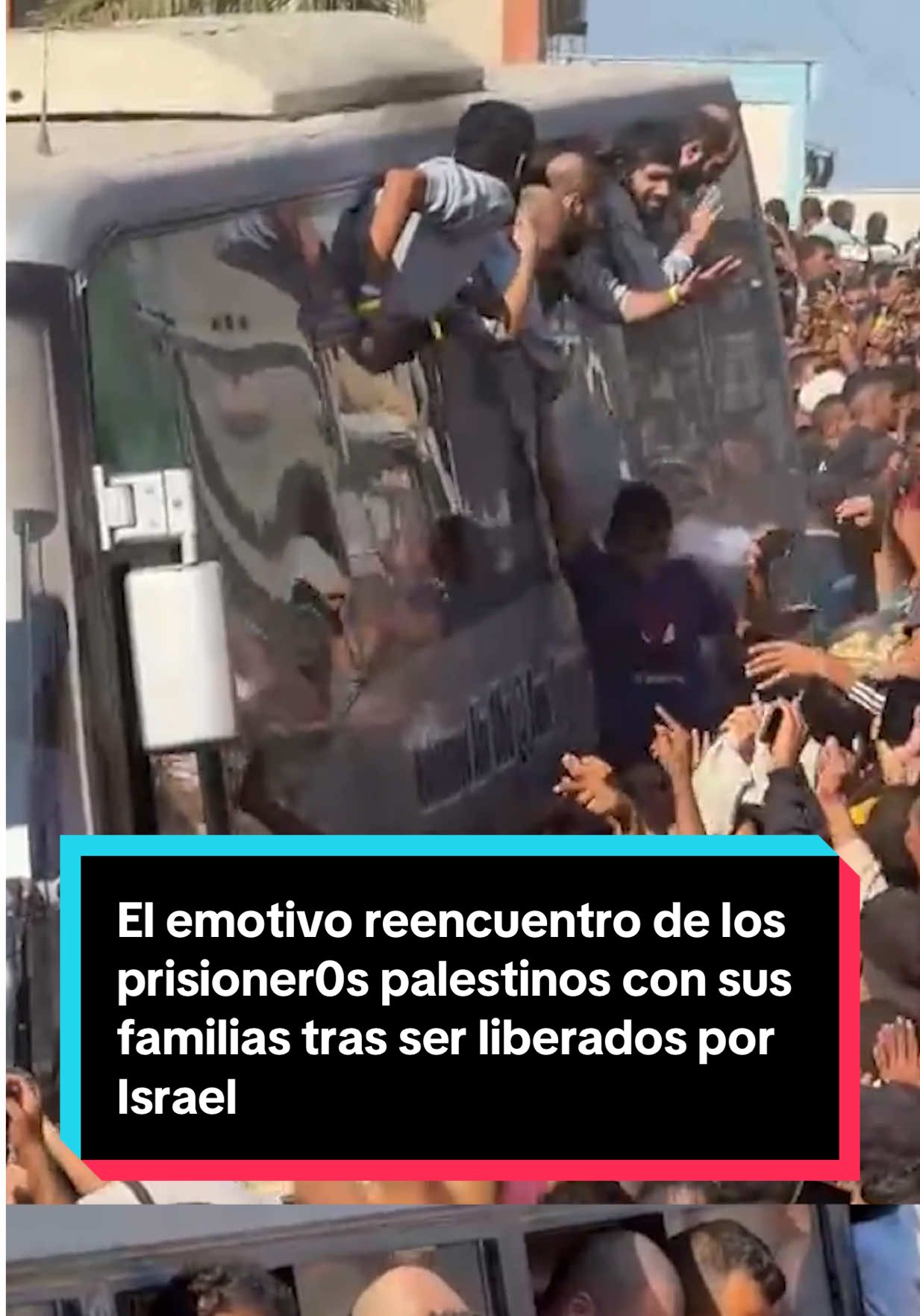 Alrededor de once autobuses de la Cruz Roja con más de 1.000 prisioner0s palestinos liberados por Israel ha llegado al Hospital Nasser de Jan Yunis (Gaza).  👉 Los distintos autobuses fueron recibidos por una numerosa multitud que aguardaba para reencontrarse con sus seres queridos.  #Noticias #Emotivo #Viral #Palestina #Gaza 