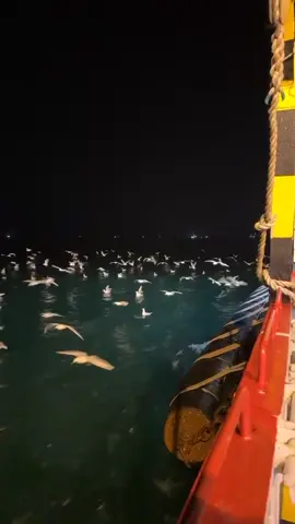 #بحر #اكسبلور_explore #امينه_فاخت_الليل #سفينة #ارامكو 