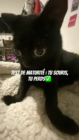 #test #goofy #maturite 