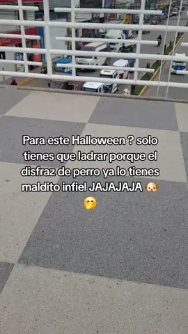 jaja para que mas ?😂😂😂🤭 #infiel #humor #halloween  #viral #humortiktok 