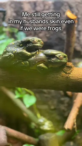 @nathan01_  there’s no way out, even in another life 😂😂 #married #couplestok #marriage #couple 