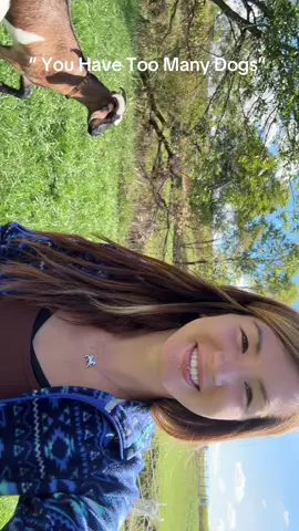 #dogs #dogsoftiktok #dogsofttiktok #farmlife #farmtok #farm #allthedogs 