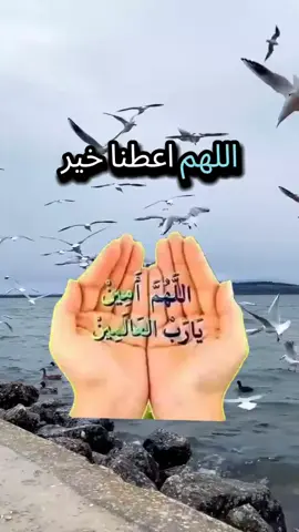 #يارب_فوضت_امري_اليك ###حفظكم_الله_ورعاكم_ونصركم_وأعزّكم_ ##دعاء_يريح_القلوب #حفظكم_الله_ورعاكم_ونصركم_وأعزّكم_ #المغرب🇲🇦 
