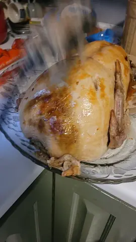 WHO made that mess? #canadianthanksgiving #fyp  #youdidking 