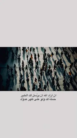 #محتوى #شعر_عراقي #حكم #امثال 