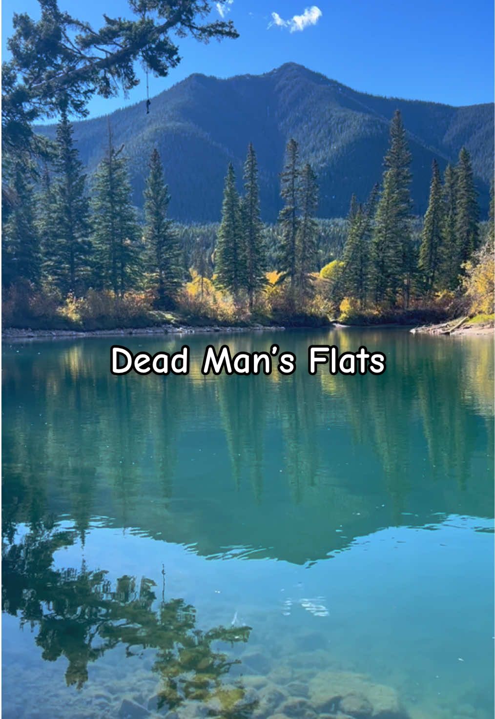 Places like this make me happiest! 🌲☀️🏔️ .• .• .• #wildernesstherapy #fyp #deadmansflats #nature #banff 