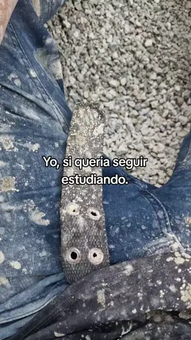 #☘️🥺  yo sii quería seguir  estudiando pero la mentable  mente  noo se pudo 🥹❤️‍🩹🥀..