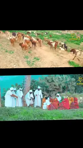 #ertreantiktok🇪🇷 #شعب_الصيني_ماله_حل😂😂 #habeshatiktok #habeshatiktok #su 