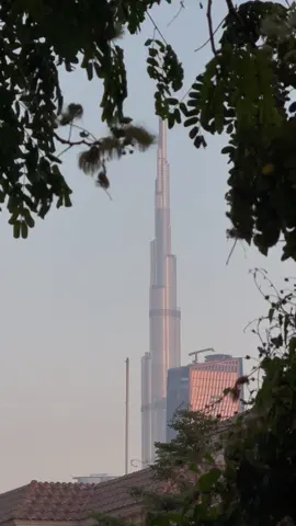 وانطفى ضي الحروف ✨#fyp 