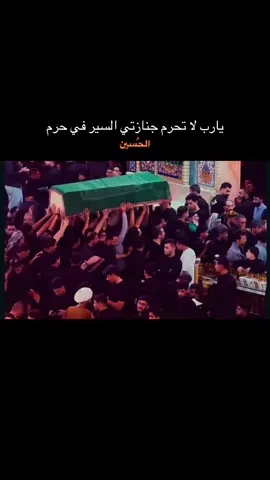 اللهم ارزقنا شفاعة الحسين يوم نلقاك#اكسبلورexplore #ياحسين #خواطر #ستوريات #fyp 