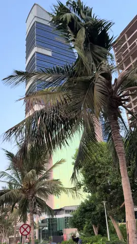 آهخخ يا جده😍🤍🤍#هواجيس #الواجهه_البحريه_جده #اكسبلور 