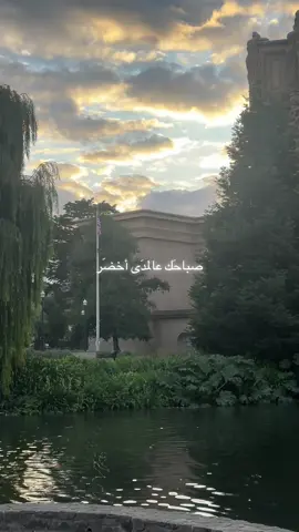 صباحك بريحة العنبر 💚 #fyp  #explore  #california  #فضل_شاكر  #غربة 